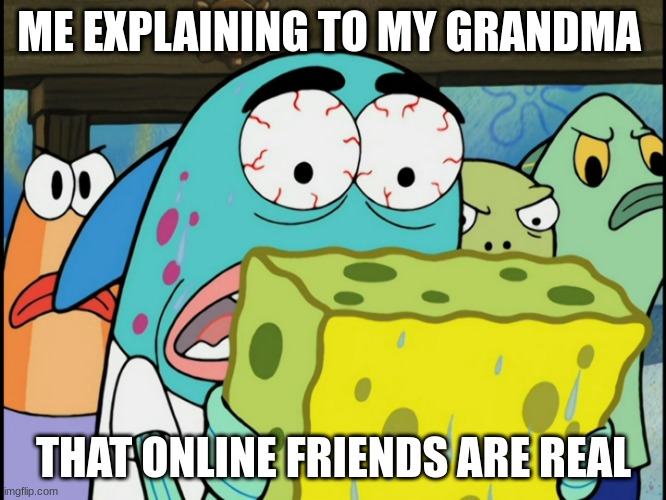 Grandhemoo | ME EXPLAINING TO MY GRANDMA; THAT ONLINE FRIENDS ARE REAL | image tagged in spongebob | made w/ Imgflip meme maker