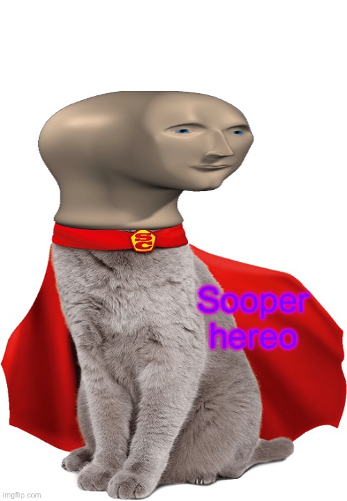 Super cat! | Sooper hereo | image tagged in super cat | made w/ Imgflip meme maker