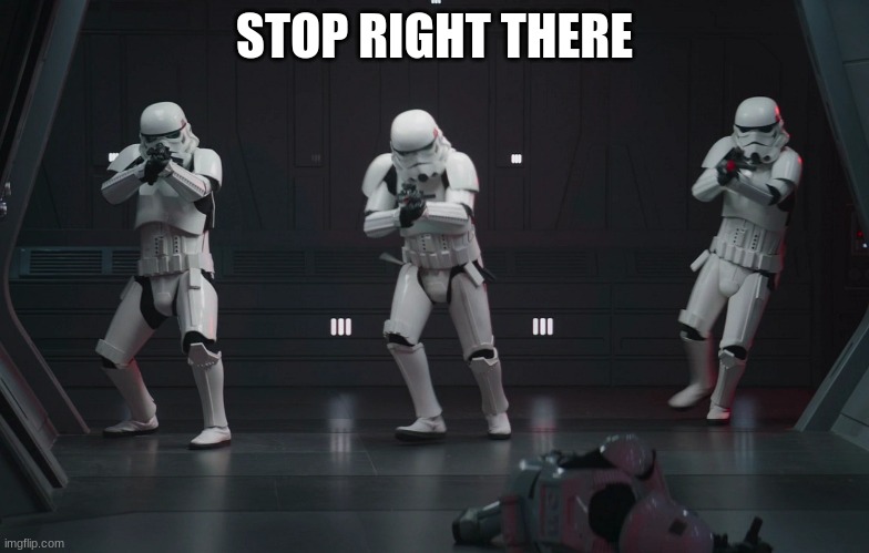 storm troopers | STOP RIGHT THERE | image tagged in storm troopers | made w/ Imgflip meme maker