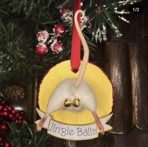 jingle balls | image tagged in jingle balls | made w/ Imgflip meme maker