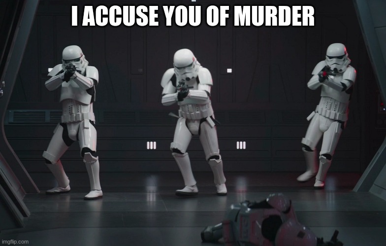 storm troopers | I ACCUSE YOU OF MURDER | image tagged in storm troopers | made w/ Imgflip meme maker