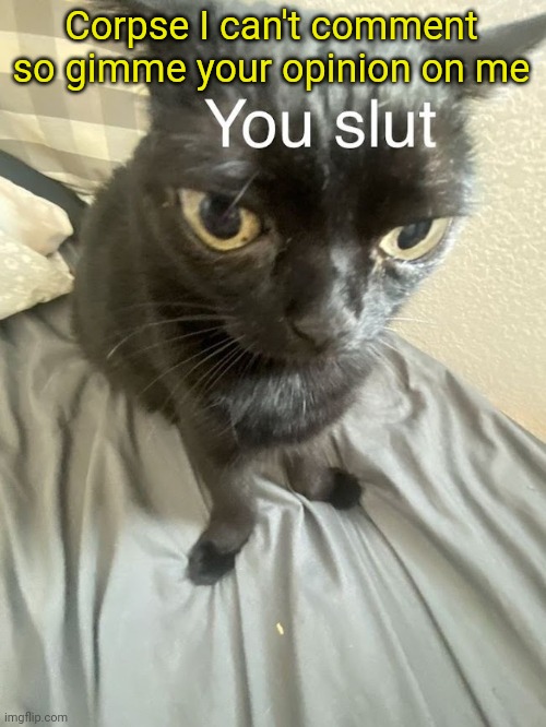 You slut | Corpse I can't comment so gimme your opinion on me | image tagged in you slut | made w/ Imgflip meme maker