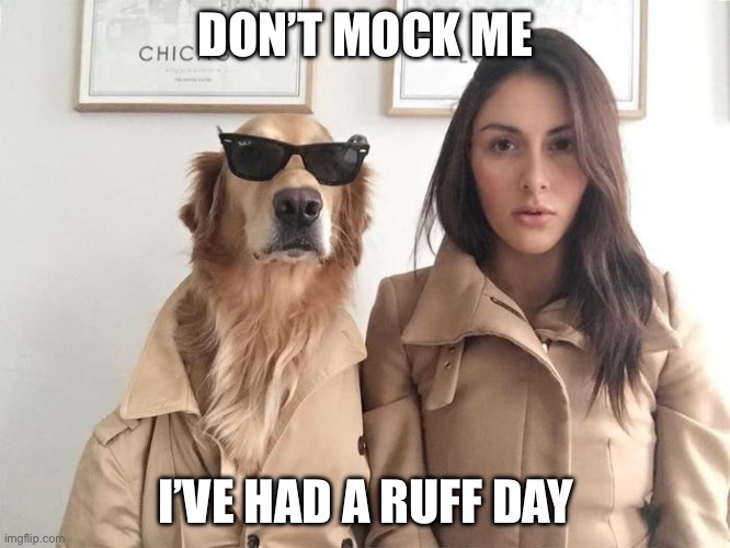 Don’t mock the dog | DON’T MOCK ME; I’VE HAD A RUFF DAY | image tagged in bad day,dog,sunglasses,sunglass doge | made w/ Imgflip meme maker