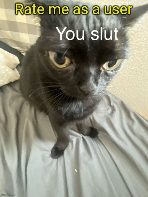 You slut | Rate me as a user | image tagged in you slut | made w/ Imgflip meme maker