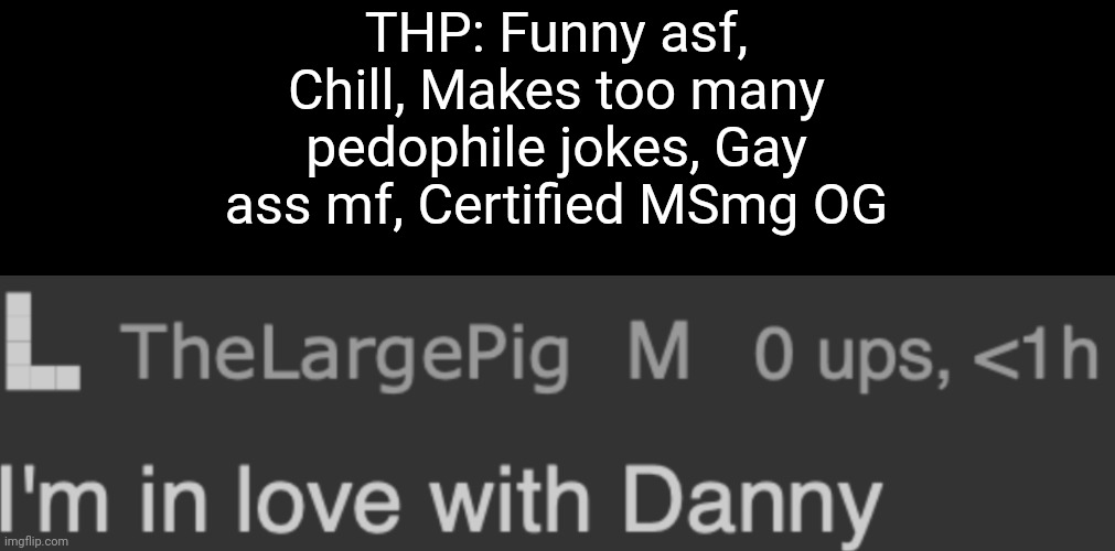 TheLargePig gay confirmed part 2 | THP: Funny asf, Chill, Makes too many pedophile jokes, Gay ass mf, Certified MSmg OG | image tagged in thelargepig gay confirmed part 2 | made w/ Imgflip meme maker