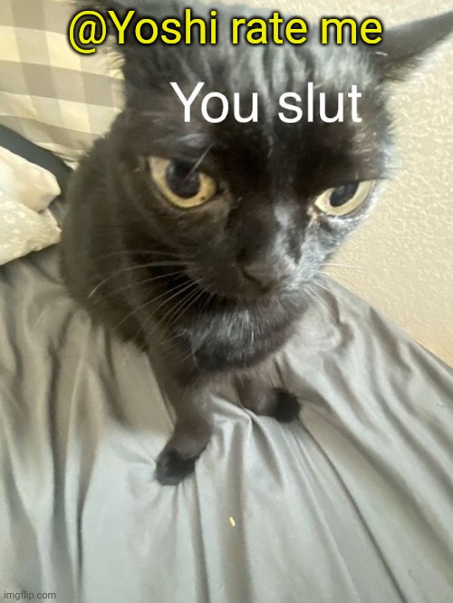 You slut | @Yoshi rate me | image tagged in you slut | made w/ Imgflip meme maker