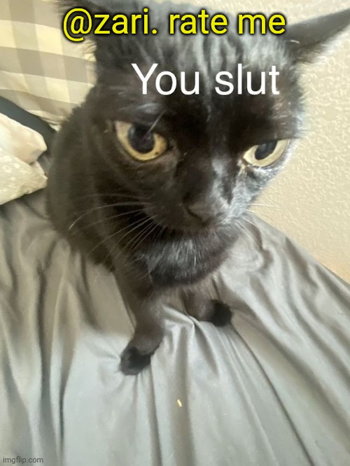 You slut | @zari. rate me | image tagged in you slut | made w/ Imgflip meme maker