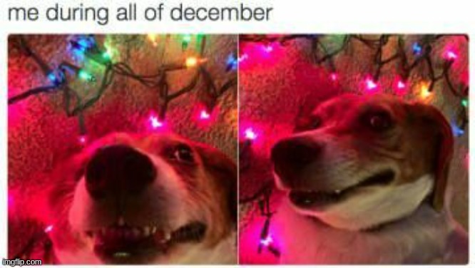 I love Christmas | image tagged in memes,funny | made w/ Imgflip meme maker
