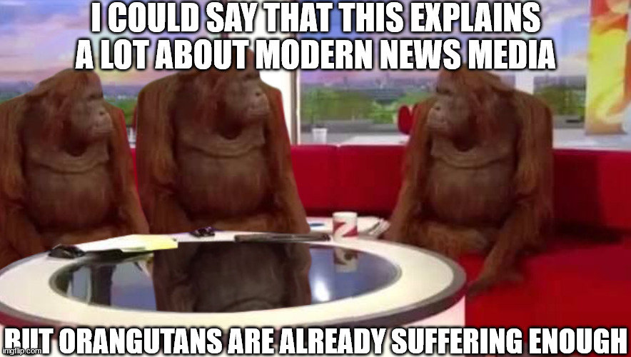 Although even these guys would have more intelligent things to say, if they could talk | I COULD SAY THAT THIS EXPLAINS A LOT ABOUT MODERN NEWS MEDIA; BUT ORANGUTANS ARE ALREADY SUFFERING ENOUGH | image tagged in where monkey | made w/ Imgflip meme maker