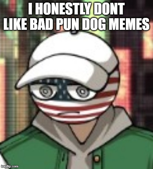 USA | I HONESTLY DONT LIKE BAD PUN DOG MEMES | image tagged in usa | made w/ Imgflip meme maker