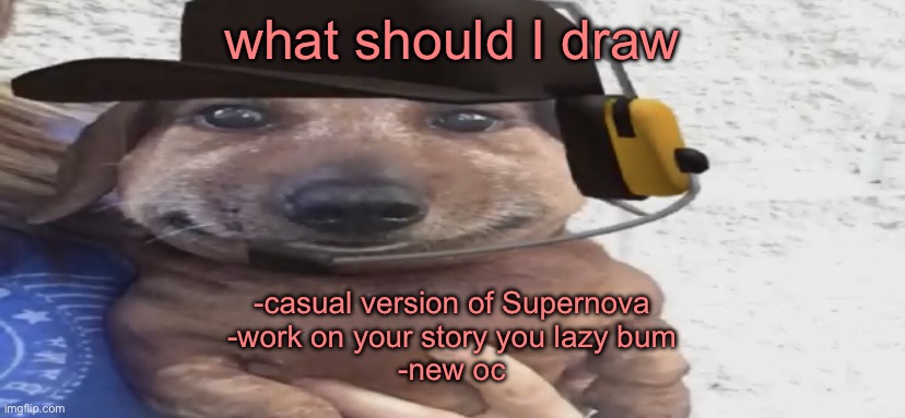 wha | what should I draw; -casual version of Supernova
-work on your story you lazy bum
-new oc | image tagged in chucklenuts | made w/ Imgflip meme maker