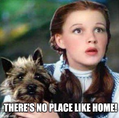 dorothy | THERE'S NO PLACE LIKE HOME! | image tagged in dorothy | made w/ Imgflip meme maker