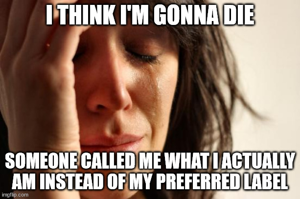 First World Problems | I THINK I'M GONNA DIE; SOMEONE CALLED ME WHAT I ACTUALLY AM INSTEAD OF MY PREFERRED LABEL | image tagged in memes,first world problems | made w/ Imgflip meme maker