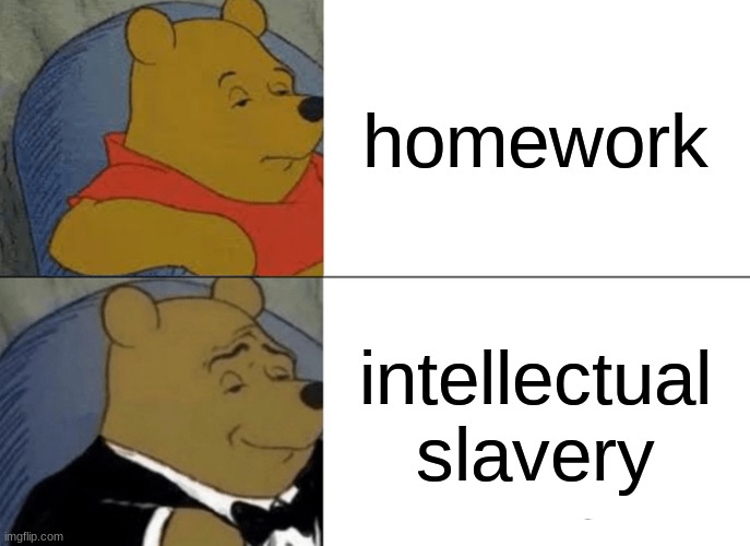 Tuxedo Winnie The Pooh | homework; intellectual slavery | image tagged in memes,tuxedo winnie the pooh | made w/ Imgflip meme maker
