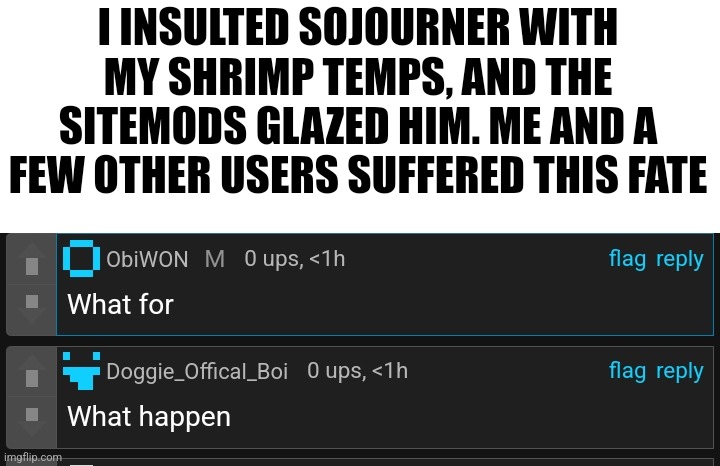 I INSULTED SOJOURNER WITH MY SHRIMP TEMPS, AND THE SITEMODS GLAZED HIM. ME AND A FEW OTHER USERS SUFFERED THIS FATE | made w/ Imgflip meme maker