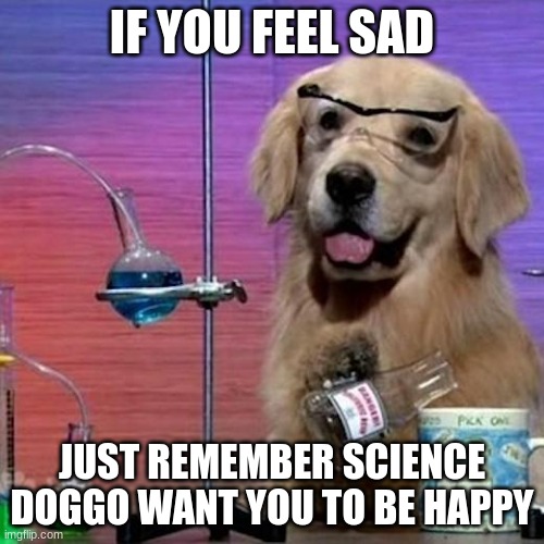 I Have No Idea What I Am Doing Dog | IF YOU FEEL SAD; JUST REMEMBER SCIENCE DOGGO WANT YOU TO BE HAPPY | image tagged in memes,i have no idea what i am doing dog | made w/ Imgflip meme maker