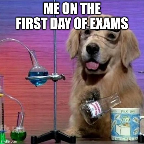 I Have No Idea What I Am Doing Dog Meme | ME ON THE FIRST DAY OF EXAMS | image tagged in memes,i have no idea what i am doing dog | made w/ Imgflip meme maker