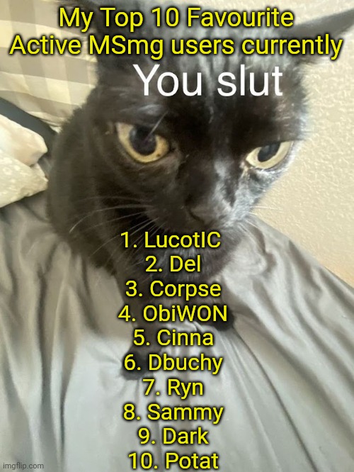 You slut | My Top 10 Favourite Active MSmg users currently; 1. LucotIC 
2. Del
3. Corpse
4. ObiWON
5. Cinna
6. Dbuchy
7. Ryn
8. Sammy
9. Dark
10. Potat | image tagged in you slut | made w/ Imgflip meme maker