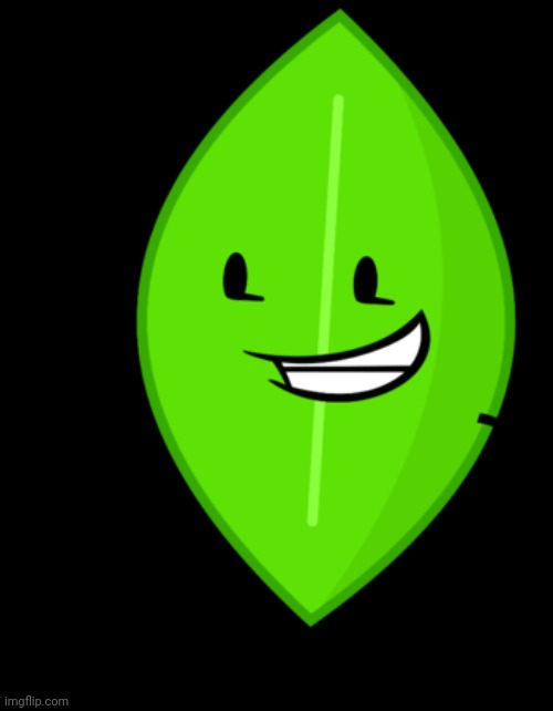 Leafy BFDI | image tagged in leafy bfdi | made w/ Imgflip meme maker
