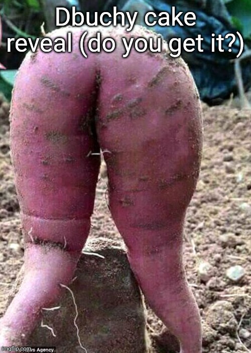 Sweet Potato | Dbuchy cake reveal (do you get it?) | image tagged in sweet potato | made w/ Imgflip meme maker