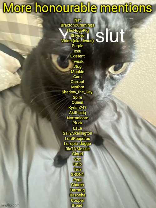 You slut | More honourable mentions; Nat
BraxtonCummings
TheHugePig
Shiyuyu
Virian (aka Jesus)
Purple
Iceu
Existent
Tweak
Jtug
Mookie
Cam
Corrupt
Mothry
Shadow_the_Gay 
Spire
Queen
Kyrian247
Akifhaziq
Normalcore
Pluck
LaLa
Sally.Skellington
LordReaperus
Le_epic_doggo
Bla7f/Mozzie
Cloud
Vox
Gnib
Trez
SRON1
Pyro
Church
Darmug
Bazooka
Cooper
Bread | image tagged in you slut | made w/ Imgflip meme maker