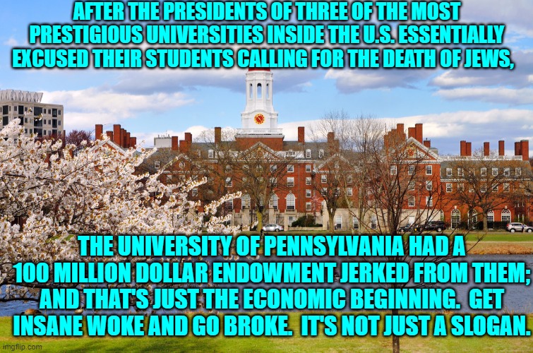 Harvard, The University of Pennsylvania, and MIT are going to be hurting economic units. | AFTER THE PRESIDENTS OF THREE OF THE MOST PRESTIGIOUS UNIVERSITIES INSIDE THE U.S. ESSENTIALLY EXCUSED THEIR STUDENTS CALLING FOR THE DEATH OF JEWS, THE UNIVERSITY OF PENNSYLVANIA HAD A 100 MILLION DOLLAR ENDOWMENT JERKED FROM THEM; AND THAT'S JUST THE ECONOMIC BEGINNING.  GET INSANE WOKE AND GO BROKE.  IT'S NOT JUST A SLOGAN. | image tagged in yep | made w/ Imgflip meme maker