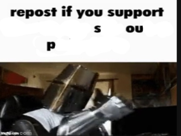 i support soup | image tagged in repost if you support beating the shit out of pedophiles | made w/ Imgflip meme maker