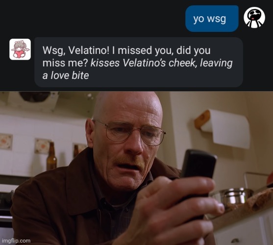 the fuck | image tagged in walter white on his phone | made w/ Imgflip meme maker