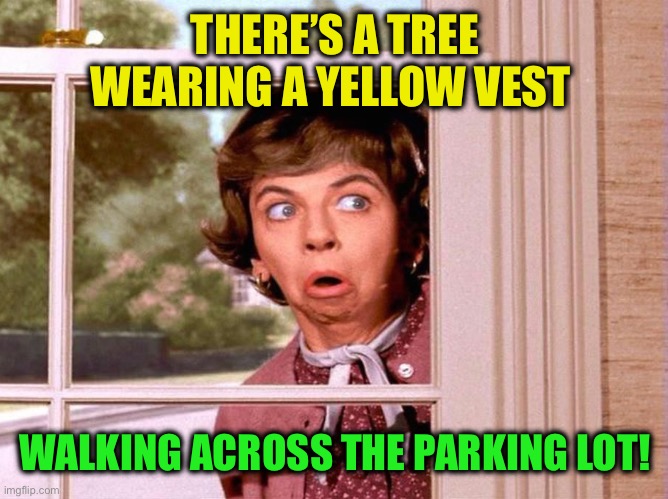 Mrs. Kravitz | THERE’S A TREE WEARING A YELLOW VEST WALKING ACROSS THE PARKING LOT! | image tagged in mrs kravitz | made w/ Imgflip meme maker