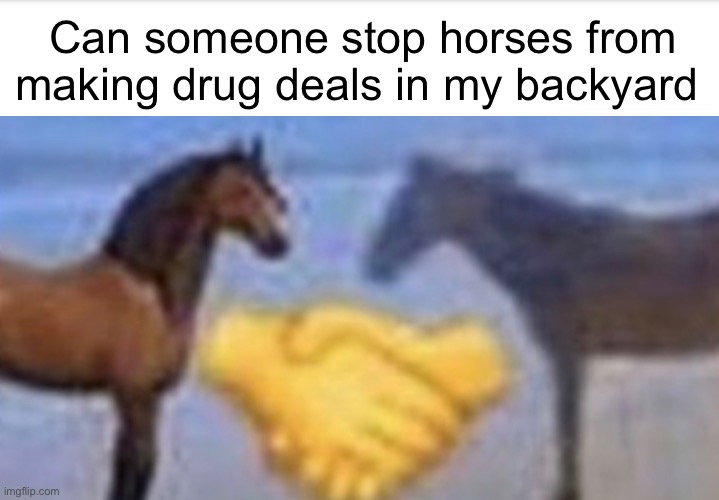 Uh oh | Can someone stop horses from making drug deals in my backyard | made w/ Imgflip meme maker