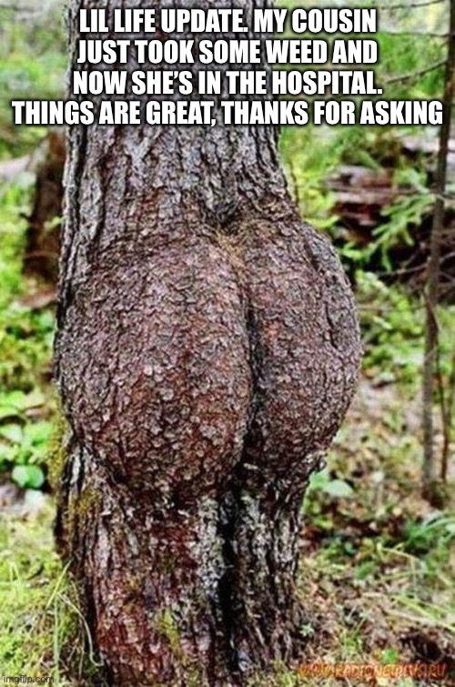 I am mentally unstable, please do not fuck with me | LIL LIFE UPDATE. MY COUSIN JUST TOOK SOME WEED AND NOW SHE’S IN THE HOSPITAL. THINGS ARE GREAT, THANKS FOR ASKING | image tagged in sexy tree | made w/ Imgflip meme maker