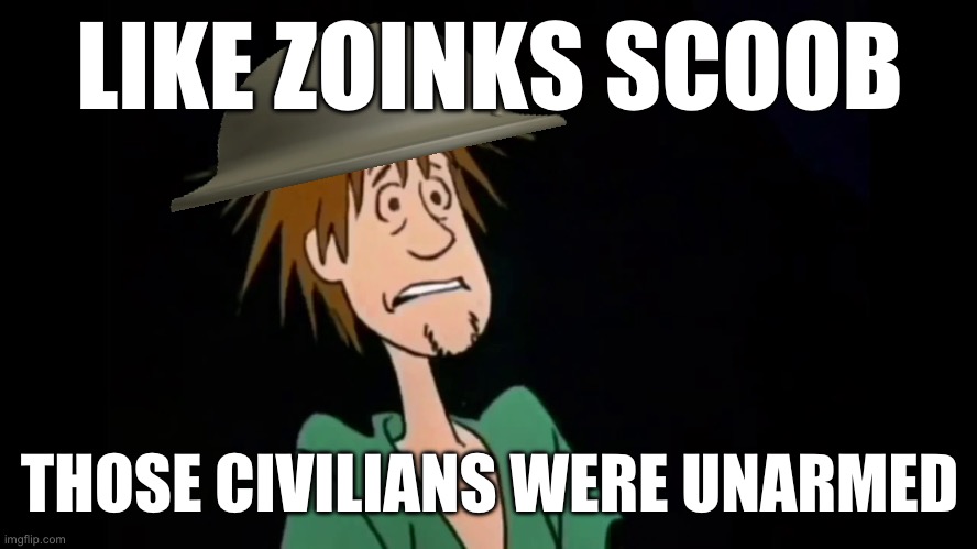Zoinks | LIKE ZOINKS SCOOB THOSE CIVILIANS WERE UNARMED | image tagged in zoinks | made w/ Imgflip meme maker