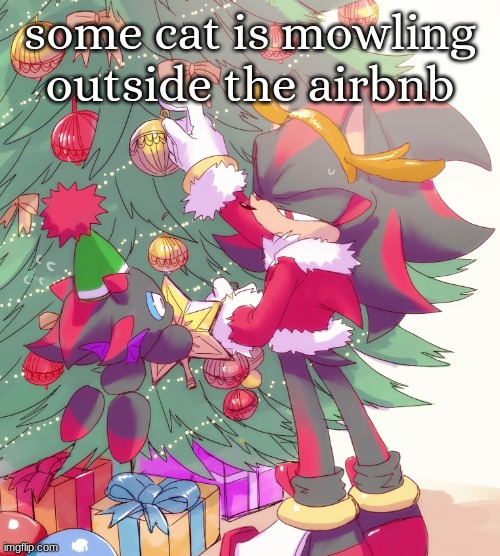 istg yall i awnt to rush out there and pet it | some cat is mowling outside the airbnb | image tagged in shadow and chao | made w/ Imgflip meme maker