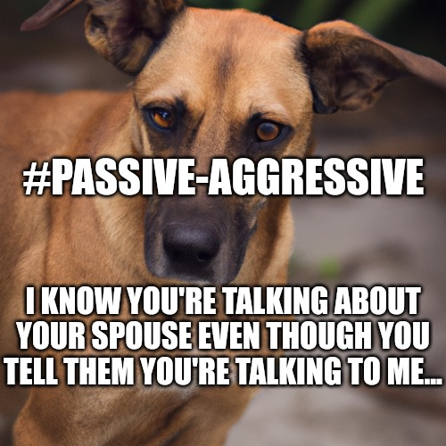 Talking to your pets, passive aggressive. | #PASSIVE-AGGRESSIVE; I KNOW YOU'RE TALKING ABOUT YOUR SPOUSE EVEN THOUGH YOU TELL THEM YOU'RE TALKING TO ME... | image tagged in passive aggressive,relationships,talking to yourself | made w/ Imgflip meme maker