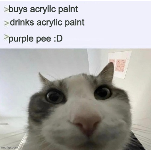 Cat looks inside | buys acrylic paint; drinks acrylic paint; purple pee :D | image tagged in cat looks inside | made w/ Imgflip meme maker