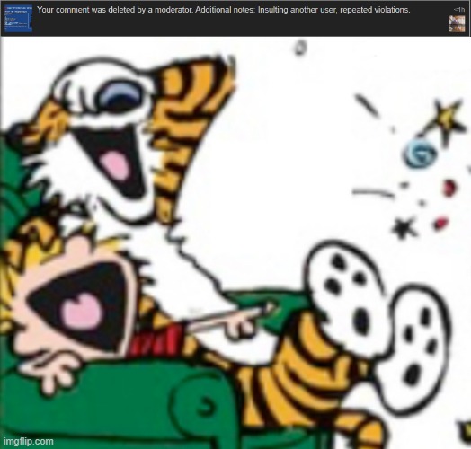 Ain't no way Stonjourner called the sitemods on me | image tagged in calvin and hobbes laugh | made w/ Imgflip meme maker
