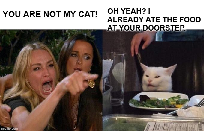 Woman Yelling At Cat | OH YEAH? I ALREADY ATE THE FOOD AT YOUR DOORSTEP. YOU ARE NOT MY CAT! | image tagged in memes,woman yelling at cat | made w/ Imgflip meme maker