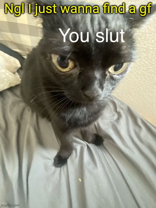 You slut | Ngl I just wanna find a gf | image tagged in you slut | made w/ Imgflip meme maker