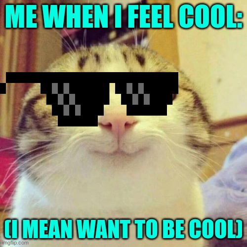 me | ME WHEN I FEEL COOL:; (I MEAN WANT TO BE COOL) | image tagged in memes,smiling cat | made w/ Imgflip meme maker