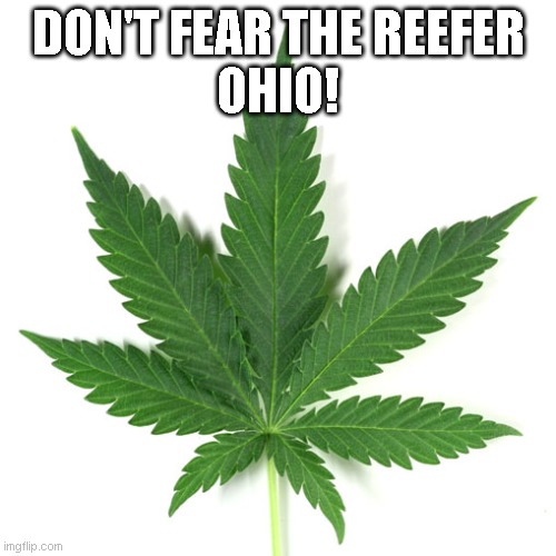 Marijuana leaf | DON'T FEAR THE REEFER
OHIO! | image tagged in marijuana leaf,funny memes | made w/ Imgflip meme maker