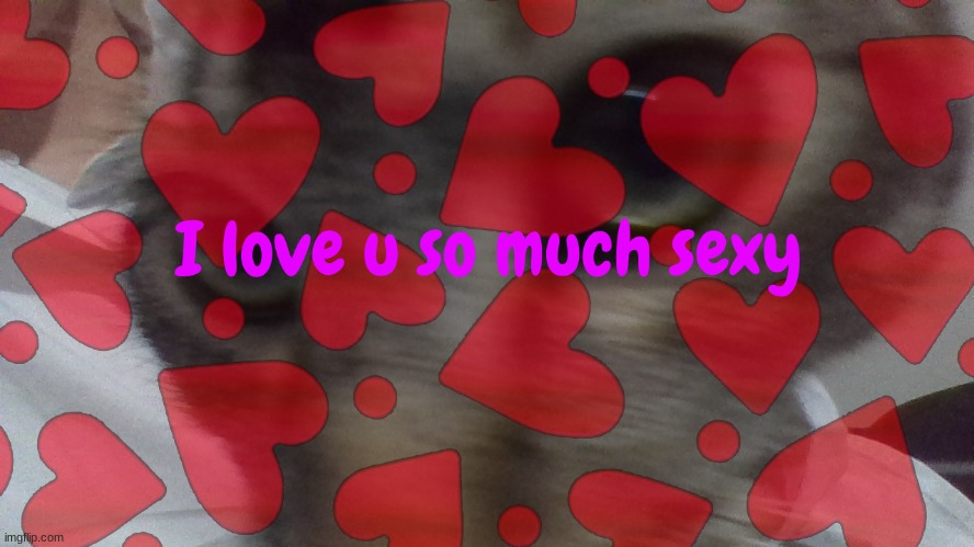 I love u so much sexy | image tagged in i love u so much sexy | made w/ Imgflip meme maker