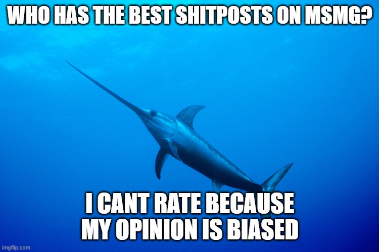 me fr? | WHO HAS THE BEST SHITPOSTS ON MSMG? I CANT RATE BECAUSE MY OPINION IS BIASED | image tagged in swordfish | made w/ Imgflip meme maker