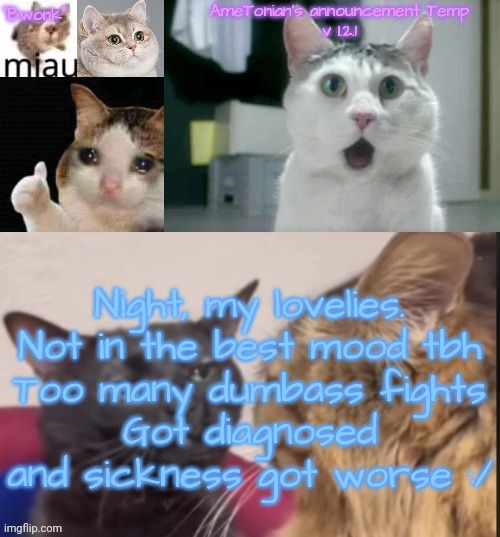 AmeTonian's announcement Temp v 1.2.1 | Night, my lovelies.
Not in the best mood tbh
Too many dumbass fights
Got diagnosed and sickness got worse :/ | image tagged in ametonian's announcement temp v 1 2 1 | made w/ Imgflip meme maker