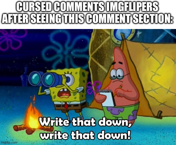 write that down | CURSED COMMENTS IMGFLIPERS AFTER SEEING THIS COMMENT SECTION: | image tagged in write that down | made w/ Imgflip meme maker