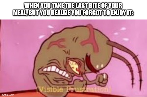 It feels like you wasted the entire meal | WHEN YOU TAKE THE LAST BITE OF YOUR MEAL, BUT YOU REALIZE YOU FORGOT TO ENJOY IT: | image tagged in visible frustration | made w/ Imgflip meme maker