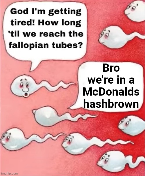 ... | Bro we're in a McDonalds hashbrown | made w/ Imgflip meme maker