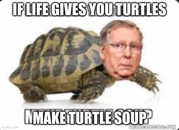 IF LIFE GIVES YOU TURTLES; MAKE TURTLE SOUP | image tagged in hide the pain harold | made w/ Imgflip meme maker