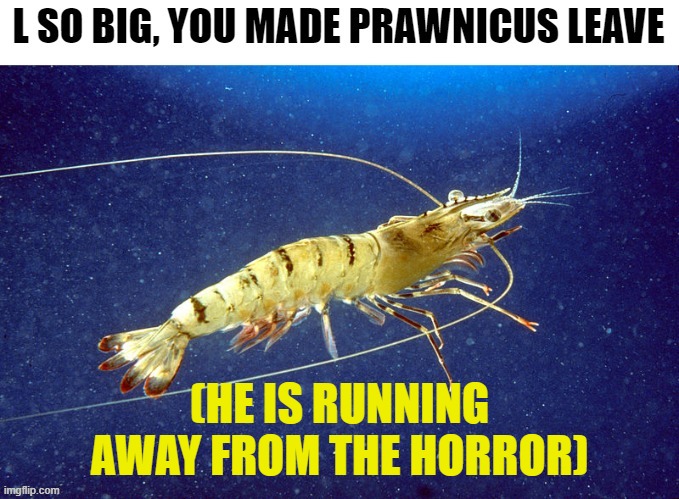 (HE IS RUNNING AWAY FROM THE HORROR) | image tagged in prawnicus | made w/ Imgflip meme maker