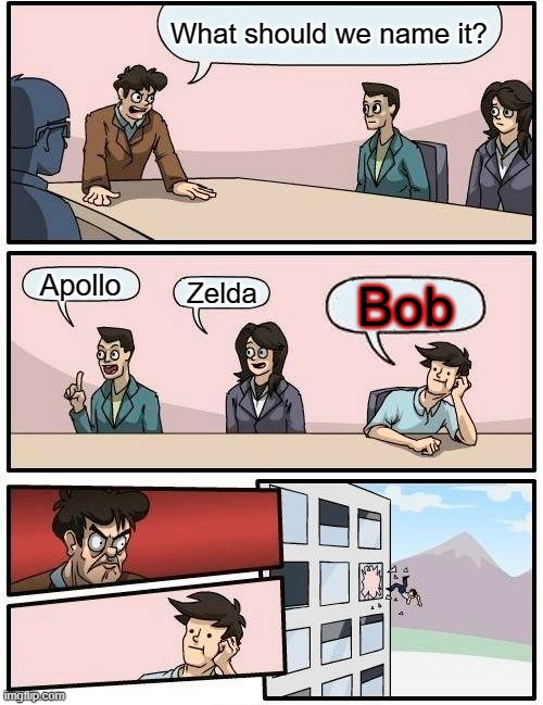 Boardroom meeting | What should we name it? Apollo; Zelda; Bob | image tagged in memes,boardroom meeting suggestion | made w/ Imgflip meme maker