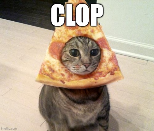 pizza cat | CLOP | image tagged in pizza cat | made w/ Imgflip meme maker